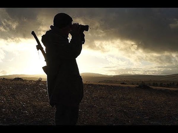 L'heure des loups