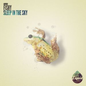 Sleep in the Sky (EP)