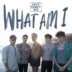 What Am I (Single)
