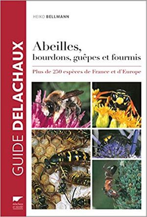 Abeilles, bourdons, guêpes et fourmis d'Europe