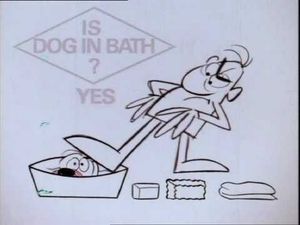 Flow Diagram