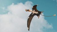 How Pterosaurs Got Their Wings