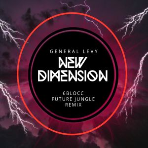 New Dimension (6Blocc Future Jungle remix)