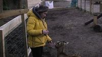 Aflevering 27