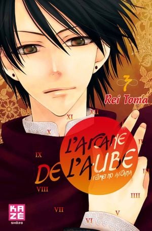 L'Arcane de l'aube, tome 3