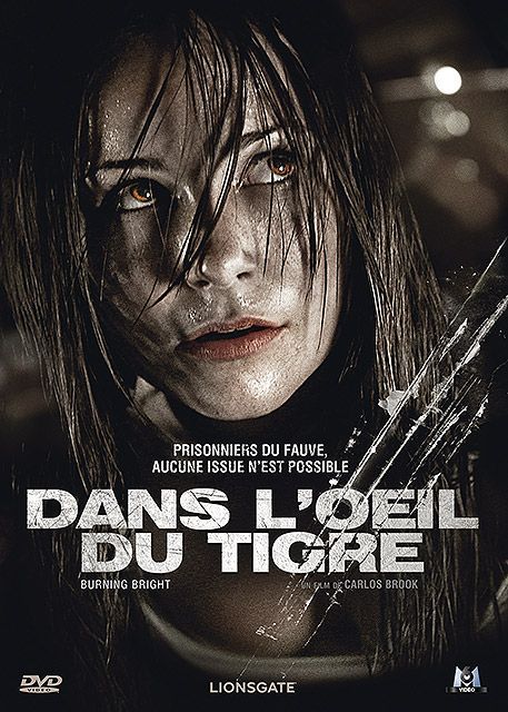 Dans L Oeil Du Tigre Streaming Dans l'oeil du tigre - Film (2010) - SensCritique