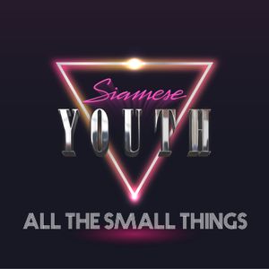 All The Small Things (Single)