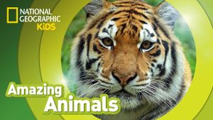 National Geographic: Amazing Animals