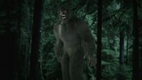 Bigfoot of Central Kentucky