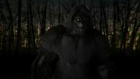 Bigfoot of Eastern Kentucky