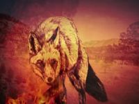 Ep 10 Victorian Foxes