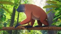 When Giant Lemurs Ruled Madagascar
