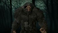 Bigfoot of Wirt County: The Ash Man