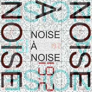 Sadhana Dell 'Arte - A Noise Study