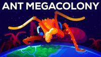 The Billion Ant Mega Colony and the Biggest War on Earth