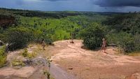 Stalked on the Savannah (Part 1)