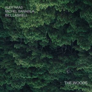 The Woods (Single)