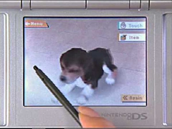 Nintendogs : Labrador & ses Amis