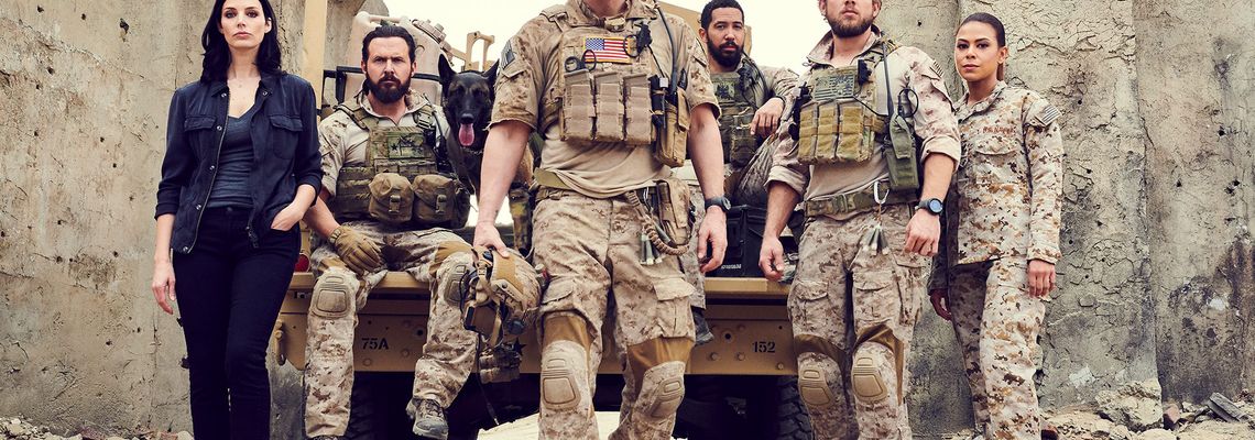 Cover Seal Team