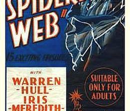 image-https://media.senscritique.com/media/000018815362/0/the_spider_s_web.jpg