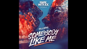 Somebody Like Me (Mark With a K RMX) (Single)