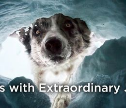 image-https://media.senscritique.com/media/000018826065/0/Dogs_with_Extraordinary_Jobs.jpg