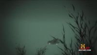 Underwater Area 51
