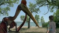 Flight of the Pterodaustro