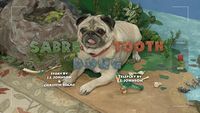 Sabre Tooth Doug