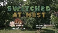 Switched at Nest