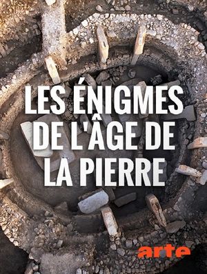 Les énigmes de l'âge de la pierre