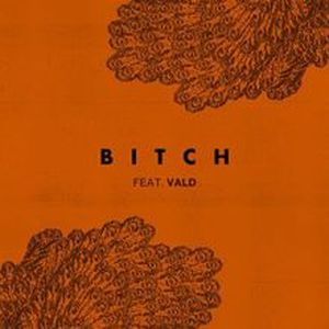 Bitch (Single)