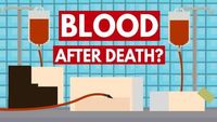 Can You Give Blood After Death? - Dear Blocko #1