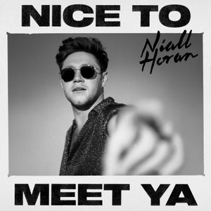 Nice to Meet Ya (Single)