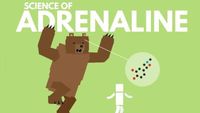 The Science of Adrenaline