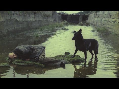 Bande-annonce de Stalker