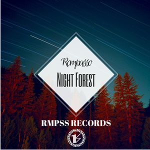 Night Forest (Single)