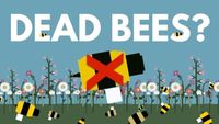 What Would Happen To You If All The Bees Die?