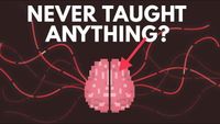 What If You Were Never Taught Anything?