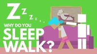 Why Do You Sleepwalk?