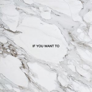 If You Want To (Single)