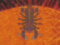 The Capital Collapses