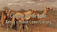 Caravan of the Books: Kenya's Mobile Camel Library