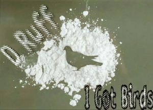 I Got Birds (Single)