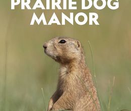 image-https://media.senscritique.com/media/000018882072/0/prairie_dog_manor.jpg