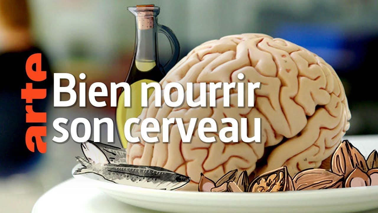 Arte Climat Mon Cerveau Fait L Autruche Bien nourrir son cerveau - Documentaire (2019) - SensCritique