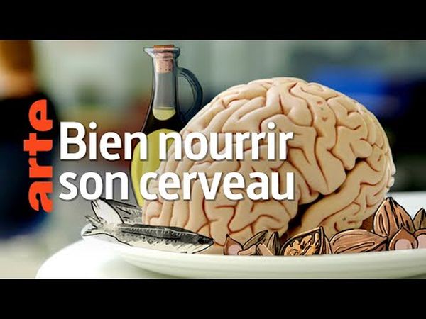 Bien nourrir son cerveau