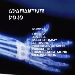 Adamantium Dojo