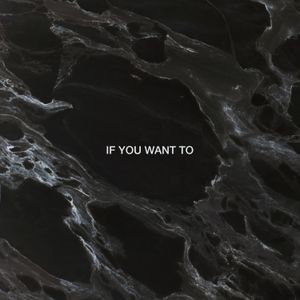 If You Want To (Dimension remix)