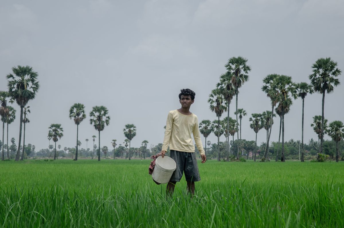 Freedom Film (2019) SensCritique